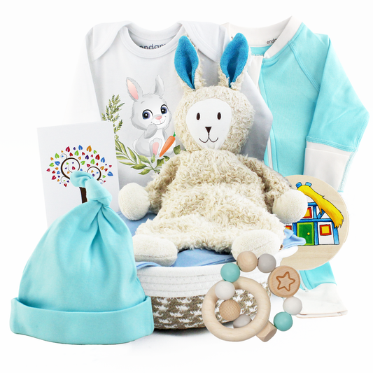 Zeronto Baby Boy Gift Basket - Little Bunny Boy