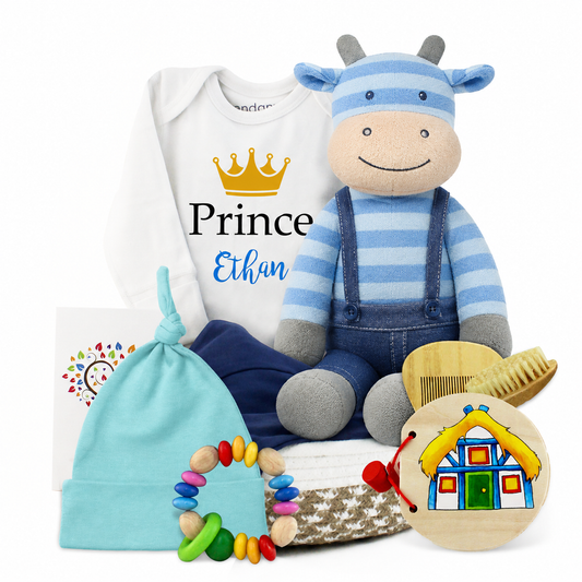 Zeronto Baby Boy Gift Basket - Little Prince
