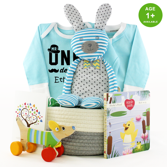 Zeronto Baby Boy First Birthday Gift Basket - Mr One-derful Boy & Friends