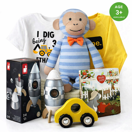 Zeronto Baby Boy Three Year Old Birthday Gift Basket - Excavator 3