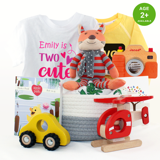 Zeronto Baby Girl Two Year Old Birthday Gift Basket - Two Cute To Travel