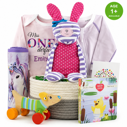 Zeronto Baby Girl First Birthday Gift Basket - Miss One-derful Girl & Friends
