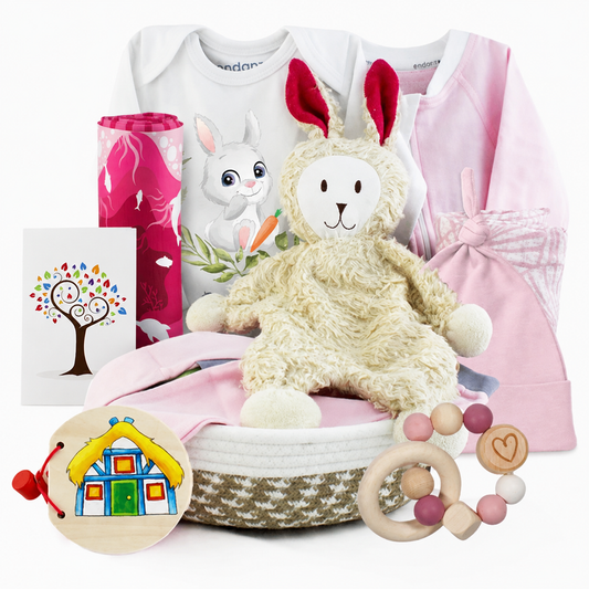 Zeronto Baby Girl Gift Basket - Little Bunny Girl