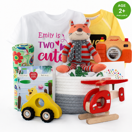 Zeronto Baby Girl Two Year Old Birthday Gift Basket - Two Cute To Stay Grounded