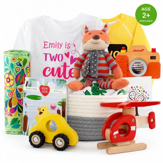Zeronto Baby Girl Two Year Old Birthday Gift Basket - Two Cute To Travel