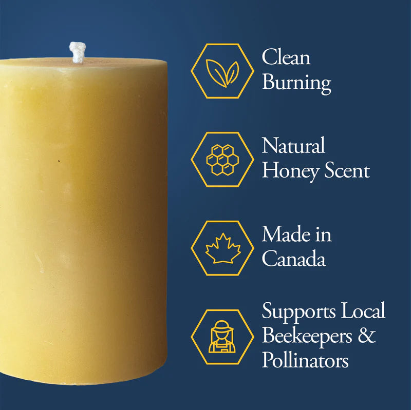 Dutchman's Gold - Canadian Beeswax Votive Candles